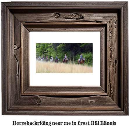 horseback riding near me in Crest Hill, Illinois